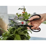 Ножницы универсальные 20см Twin L ZWILLING - миниатюра 4